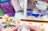 探秘骚狐：了解这种神秘动物的习性与栖息地