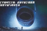 迷失在时空：一部引人入胜的HD高清科幻电影