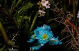 98色花堂：多彩花卉的艺术世界，绽放你的生活美学