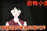 夜猫视频：探索夜晚世界的精彩瞬间与无与伦比故事