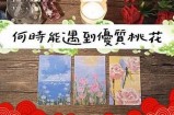 桃花直播：与你共享精彩内容与互动乐趣的全新平台