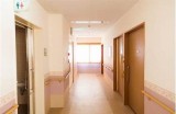 探秘日本文化：从传统到现代的魅力与发展
