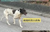 “捕捉美丽足迹：殴美踪合色网站一站式美妆与护肤分享平台”