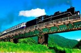 在日本畅游探索：gogogo观看日本的独有魅力与旅游攻略
