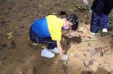 水蜜桃湿地福地院：探索自然之美与人文景观的完美融合