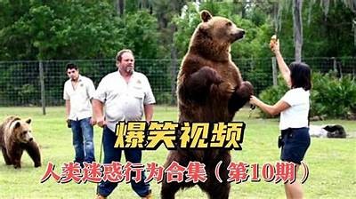 好色先生鸟叔搞笑视频合集，带你领略幽默搞怪的魅力