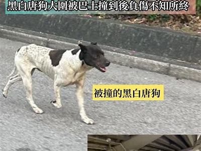 “捕捉美丽足迹：殴美踪合色网站一站式美妆与护肤分享平台”