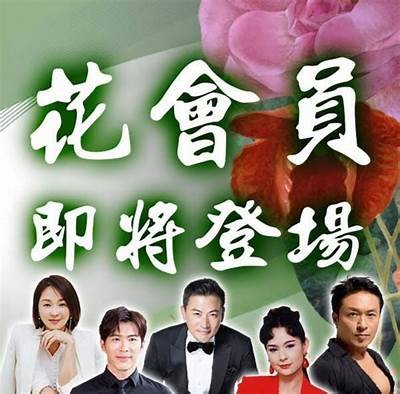 桃花直播全新体验，畅享精彩互动与美丽瞬间！