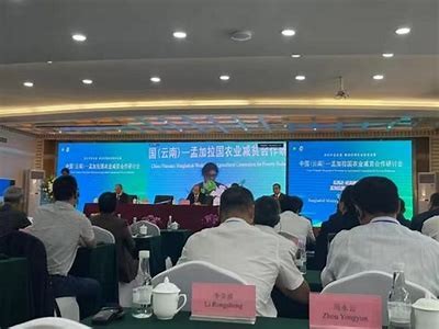 免费私密直播在线观看，让你畅享精彩内容！