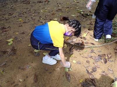水蜜桃湿地福地院：探索自然之美与人文景观的完美融合