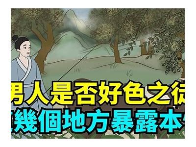 好色先生：探讨幽默与魅力背后的深意
