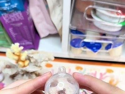 探秘骚狐：了解这种神秘动物的习性与栖息地