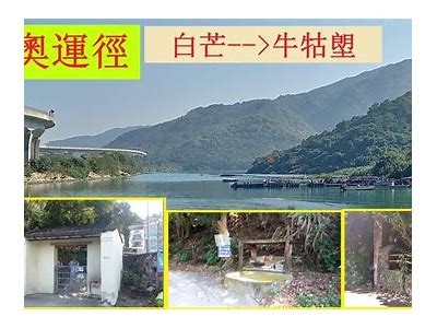 一本大道一卡、二卡、三卡、四卡的全方位解析与使用指南
