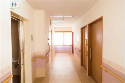 探秘日本文化：从传统到现代的魅力与发展