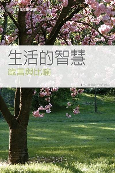 “九九久久：探索久违的生活智慧与情感共鸣”