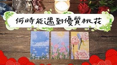 桃花直播：与你共享精彩内容与互动乐趣的全新平台
